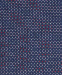 Blue & Red Small Biscuit Motif Silk Printed Tie